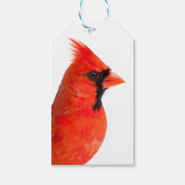 Etiqueta Para Presente Cardinal (Frente)