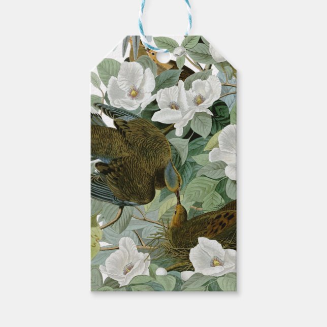 Etiqueta Para Presente Carolina Pigeon Audubon Morning Dove (Frente)