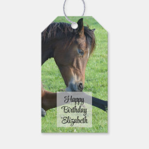 Etiqueta Para Presente Cavalo castanho bonito no aniversário da grama
