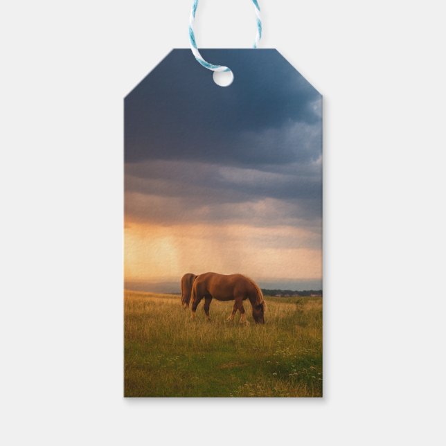 Etiqueta Para Presente Cavalos pastando no dia da tempestade (Frente)