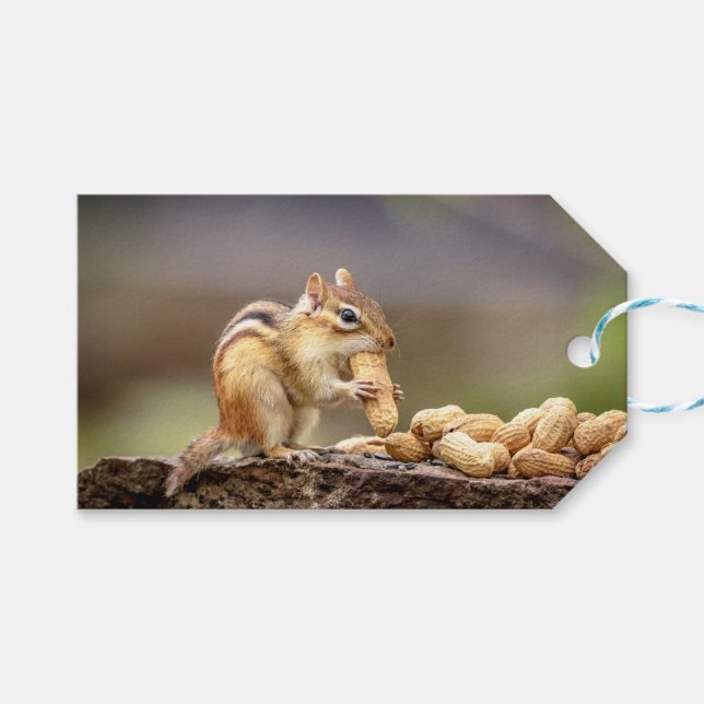 Etiqueta Para Presente Chipmunk comendo amendoim (Frente (horizontal))