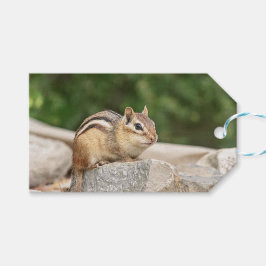 Etiqueta Para Presente Chipmunk numa pedra
