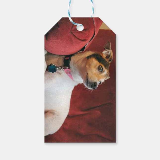 Etiqueta Para Presente Clássico (Frente)