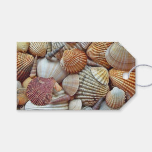 Etiqueta Para Presente Conchas do Mar