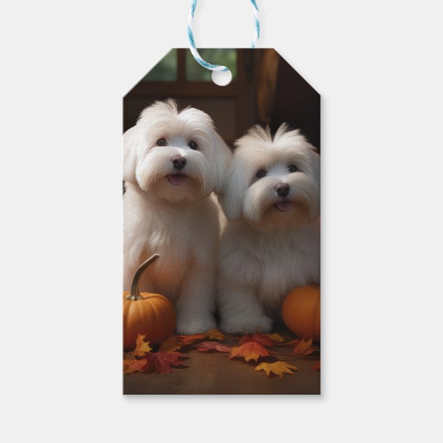 Etiqueta Para Presente Coton De Tulear Puppy Autumn Delight Pumpkin (Frente)