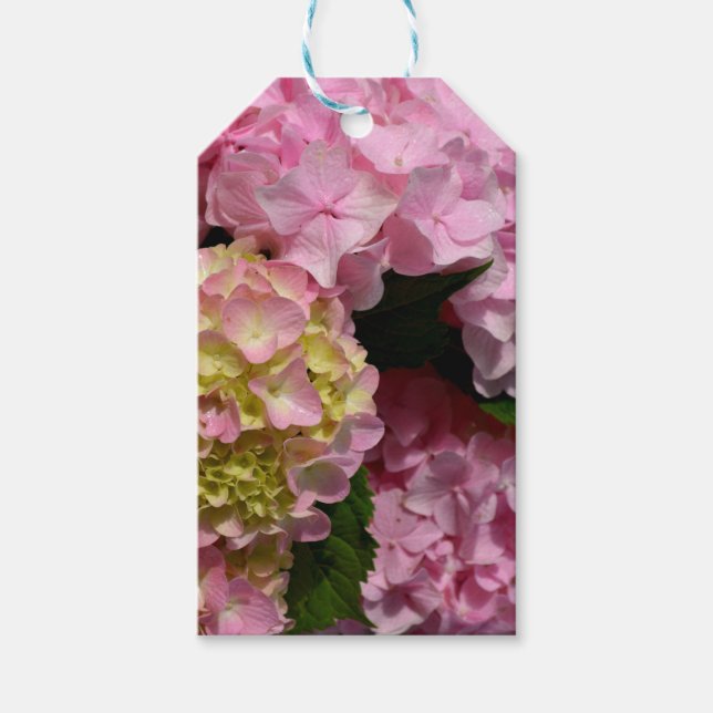 Etiqueta Para Presente Creme cor-de-rosa Hydrangeas amarelas cor-de-rosa  (Frente)