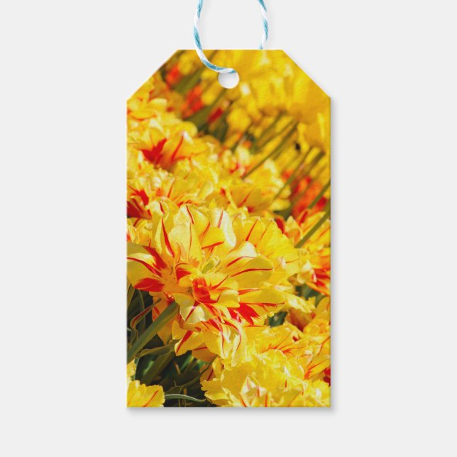 Etiqueta Para Presente Crescendo em Dourado (Frente)