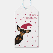 Dachshund bonito com chapéu de Papai Noel e fundo 