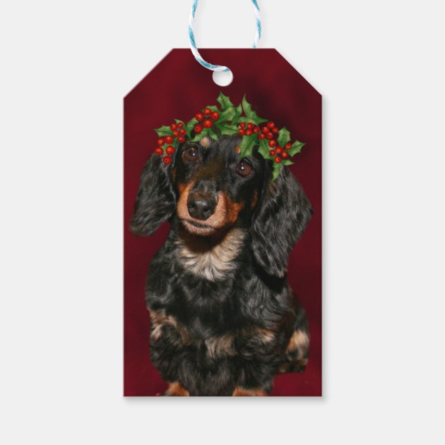 Etiqueta Para Presente Dachshund Christmas (Frente)