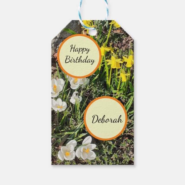 Etiqueta Para Presente Daffodils & Crocus Birthday (Frente)