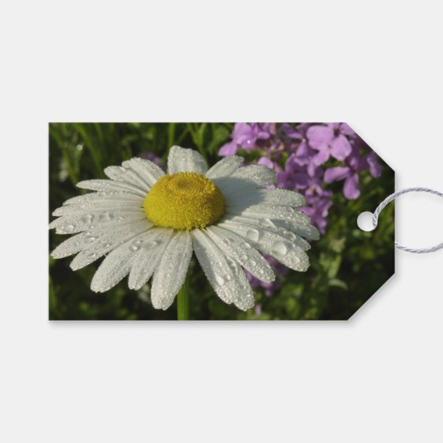 Etiqueta Para Presente Daisy e Lilac Botânico (Frente (horizontal))