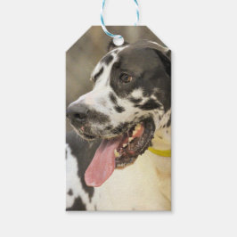 Etiqueta Para Presente Dane