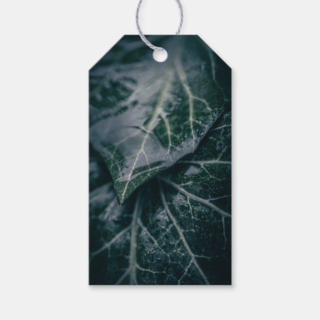 Etiqueta Para Presente Dark Moody Ivy deixa foto da natureza (Frente)