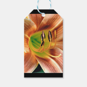 Etiqueta Para Presente Daylily Macro