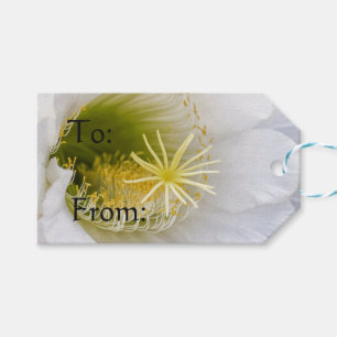 Etiqueta Para Presente Dentro de um cacto branco na flor