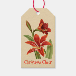 Etiqueta Para Presente Elogio do Natal do Amaryllis do vintage