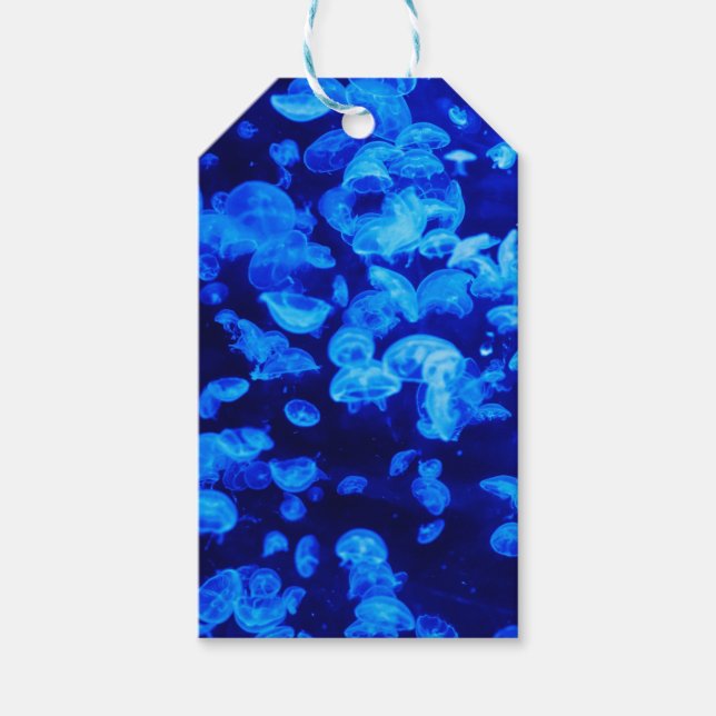 Etiqueta Para Presente Enxame de medusa (Frente)