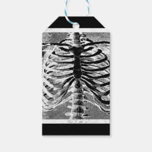 Etiqueta Para Presente Esqueleto Antigo Torso Corpo Halloween