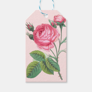 Etiqueta Para Presente Etiqueta de presente de flor de rosa rosa