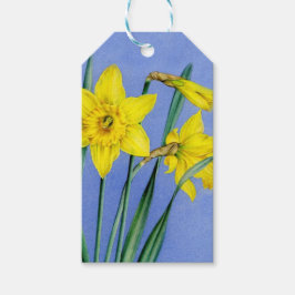 Etiqueta Para Presente etiqueta de presente de páscoa daffodil de pintura