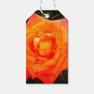 Etiqueta Para Presente Etiqueta de presente de Rosa cor laranja