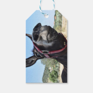 Etiqueta Para Presente Eu Amo Donkeys!