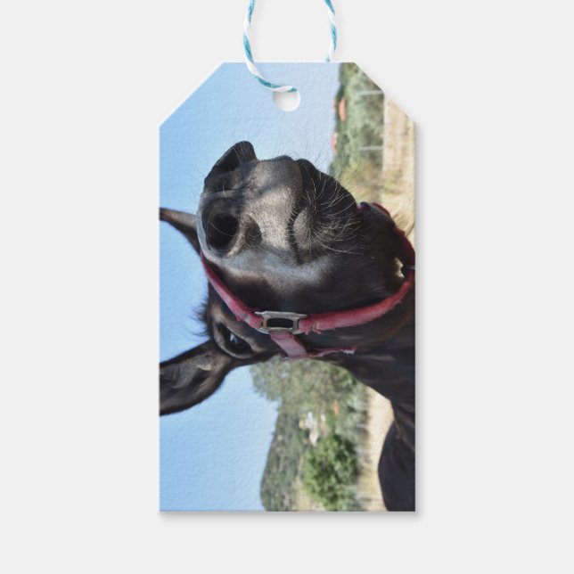 Etiqueta Para Presente Eu Amo Donkeys! (Frente)