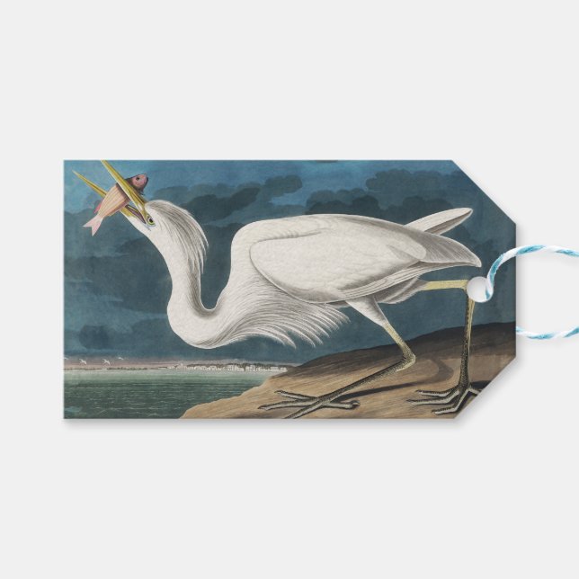 Etiqueta Para Presente Excelente White Heron Audubon Bird Willife Paintin (Frente (horizontal))