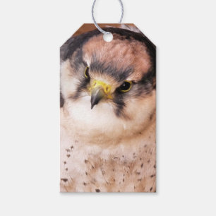 ETIQUETA PARA PRESENTE FALCON