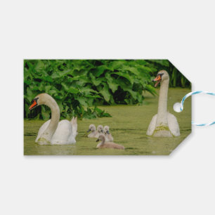 Etiqueta Para Presente Família Swan