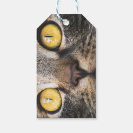 Etiqueta Para Presente Fechamento de Gato com Olhos Amarelos
