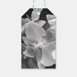 Etiqueta Para Presente Fechar as flores de orquídeas em escala de cinzas