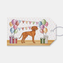 Feliz Aniversário Cachorro Fofo Hungarian Vizsla P