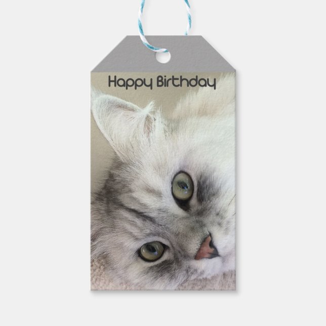 Etiqueta Para Presente Feliz Aniversário Gato-Presente (Frente)