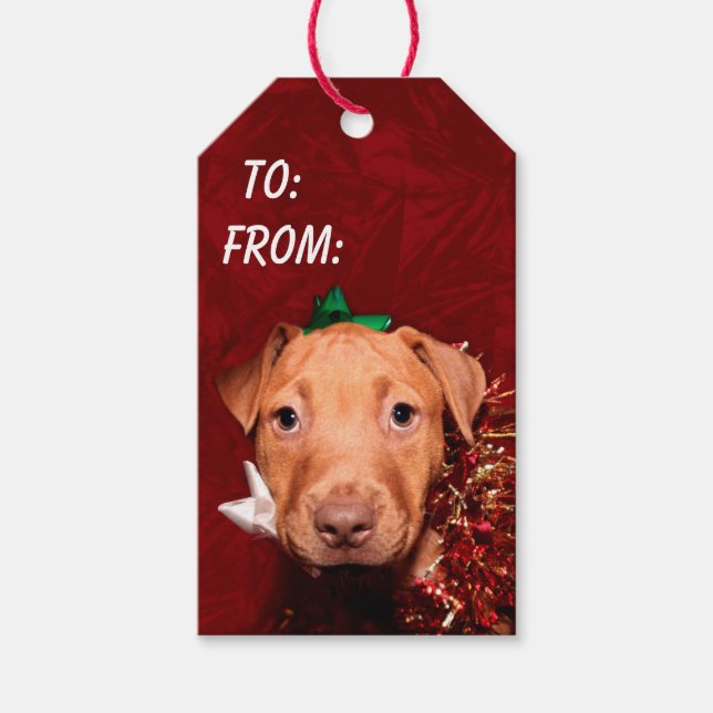 Etiqueta Para Presente Feliz Natal (Frente)