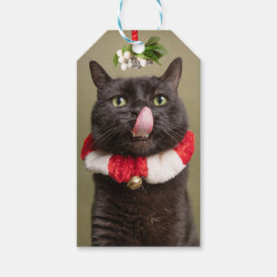 Etiqueta Para Presente Feliz Natal Para Qualquer Gato Sob Mistura  
