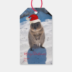 Etiqueta Para Presente Feliz Quokka Festivo Feliz no Natal da Praia