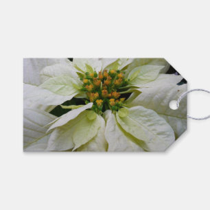 Etiqueta Para Presente Feriado de Natal Elegante de Poinsettia Branca