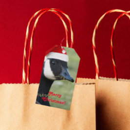 Etiqueta Para Presente Feriado de Santa Hat Vestido por ganso do Canadá