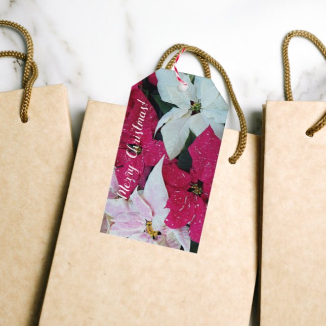 Etiqueta Para Presente Férias Festivas Poinsettias Floral (In Situ)