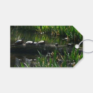 Etiqueta Para Presente Fileira de Tartarugas Foto Verde