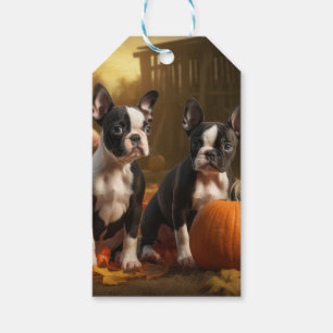 Etiqueta Para Presente Filhote de Boston Terrier Delícia de Outono Abóbor