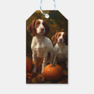 Etiqueta Para Presente Filhote de Brittany Spaniel Outono Delícia Abóbora