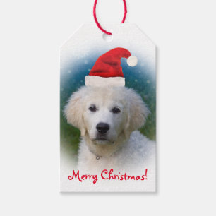 Etiqueta Para Presente Filhote de cachorro bonito do golden retriever que