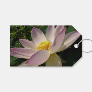 Etiqueta Para Presente Flor de Lotus Cor Rosa III Verão Floral