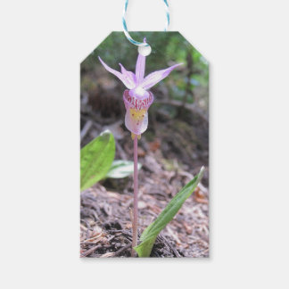 Etiqueta Para Presente Flor Orquídea Fairyslipper