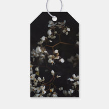 Florais Escuros Elegantes