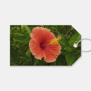 Etiqueta Para Presente Floral Tropical de Flor de Hibiscus Laranja
