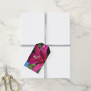 Etiqueta Para Presente Floral Tropical do Flor de Árvore Orquídea