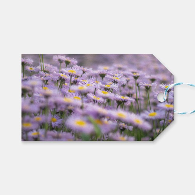 Etiqueta Para Presente Flores de Aster Roxo (Frente (horizontal))
